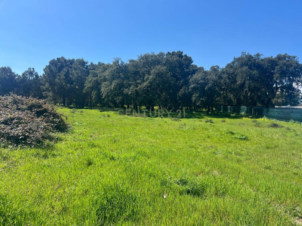  Terreno Urbano para Construção na Quinta do Quadrado em Alhos Vedros - Image 2